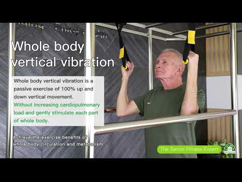 Whole body vertical gait training platform