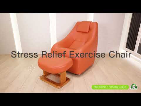 Stress Relief Exercise Chair