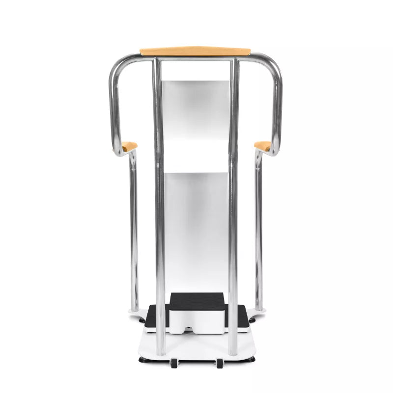N2 Accessible Whole Body Vertical Vibration