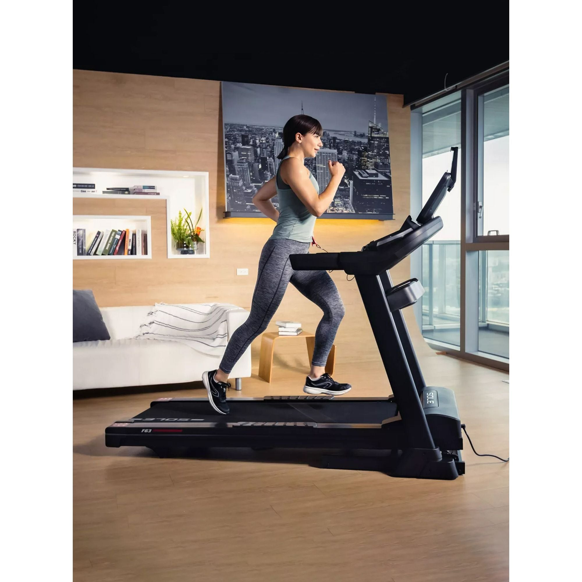 Sole Fitness F63 Treadmill